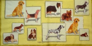 108 Dogs - 3-ply (yellow) - Ambiente